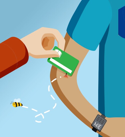 HOW BESTRIJD JE INSECTENBETEN